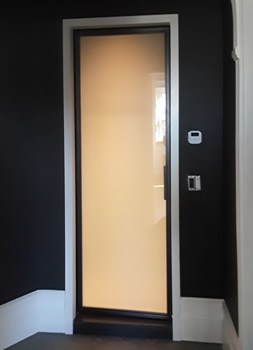 Shower Pivot Door